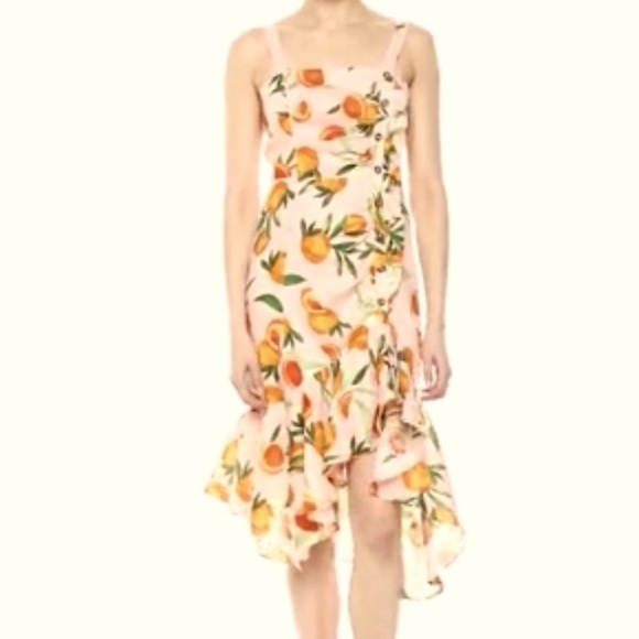 PARKER MILLIE DRESS WITH RUFFLE FRONT DETAILS AND HI-LO RUFFLED HEMLINE SIZE 4 - Picture 4 of 13